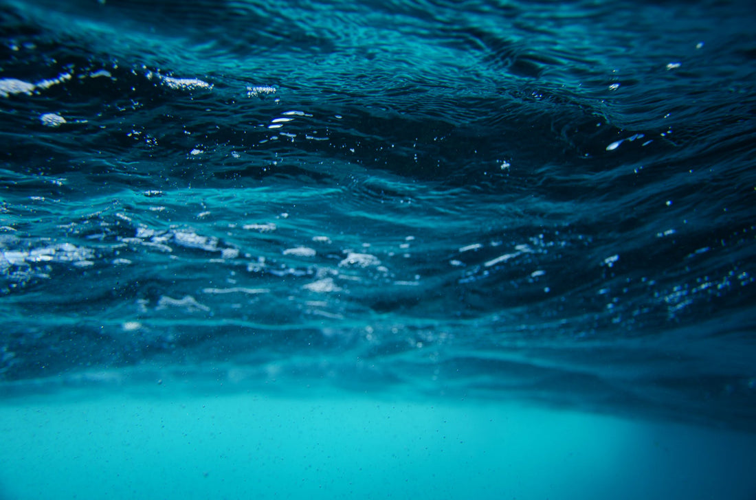 The Battle to End Microfiber Pollution